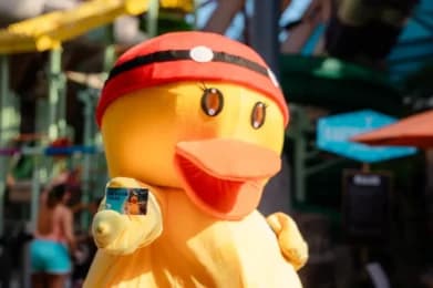 Summer Season Splash Pass