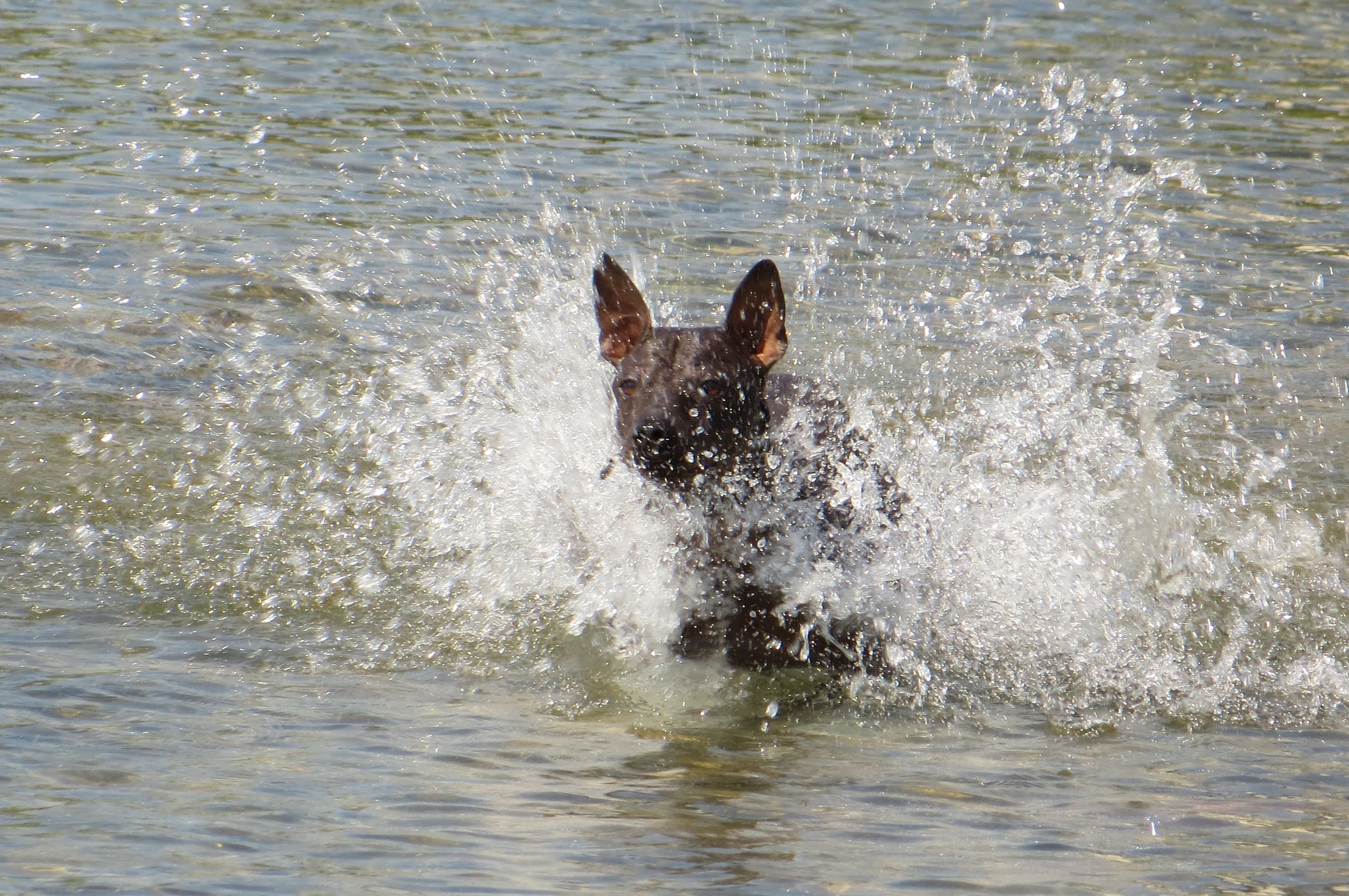 Splash Harbour Water Park water park