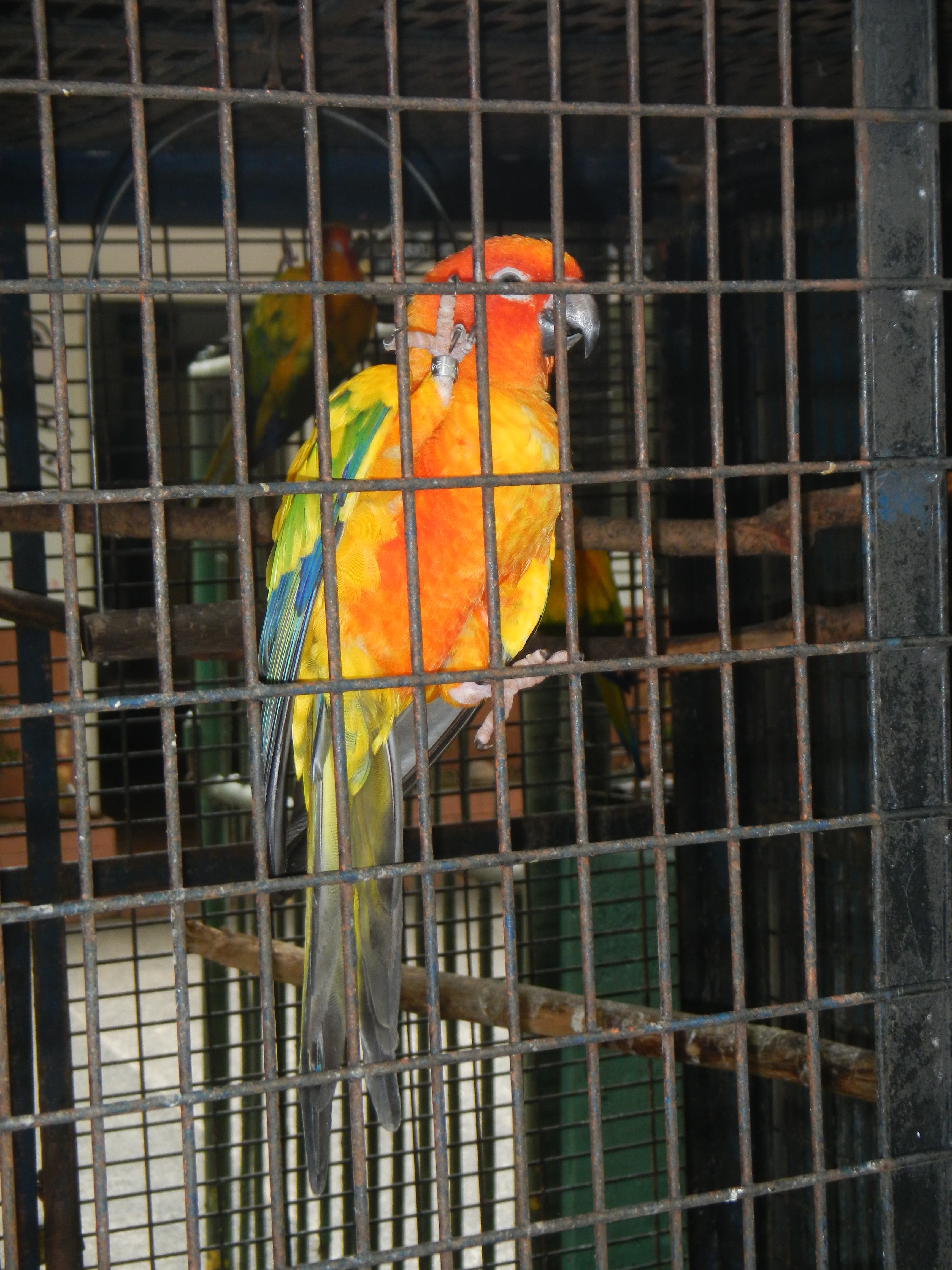 Sun-N-Fun Lagoon water park