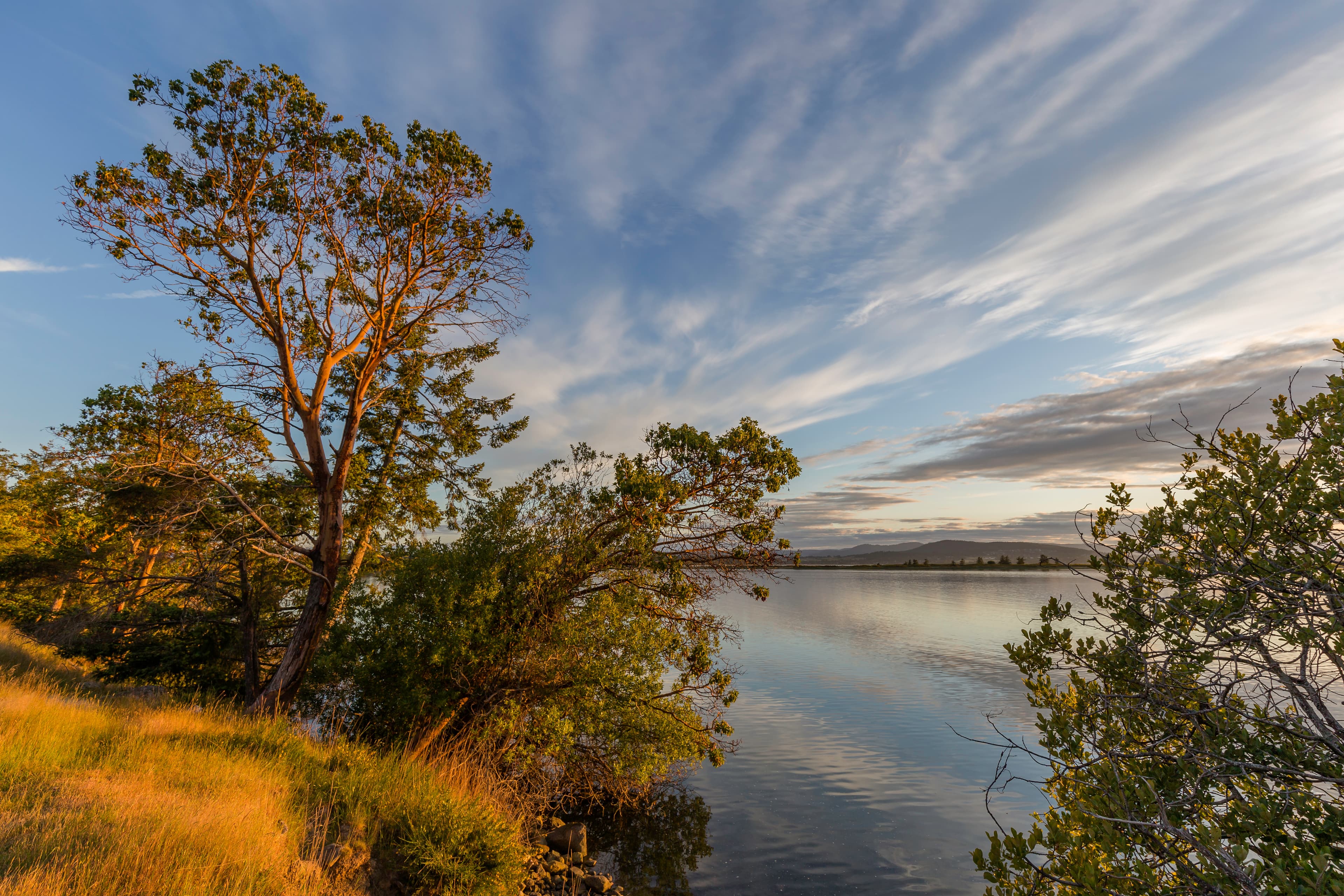Island Water Park water park
